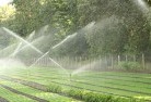 Coninghamlandscaping-water-management-and-drainage-17.jpg; ?>